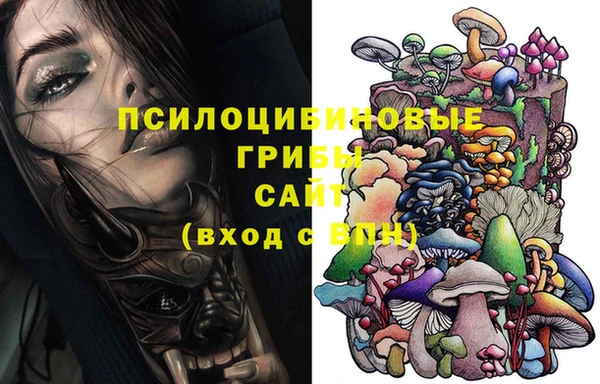 2c-b Абинск