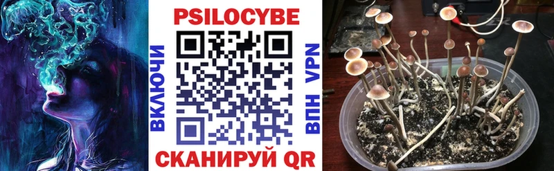 kraken ССЫЛКА  Богородск  Псилоцибиновые грибы ЛСД  наркошоп 